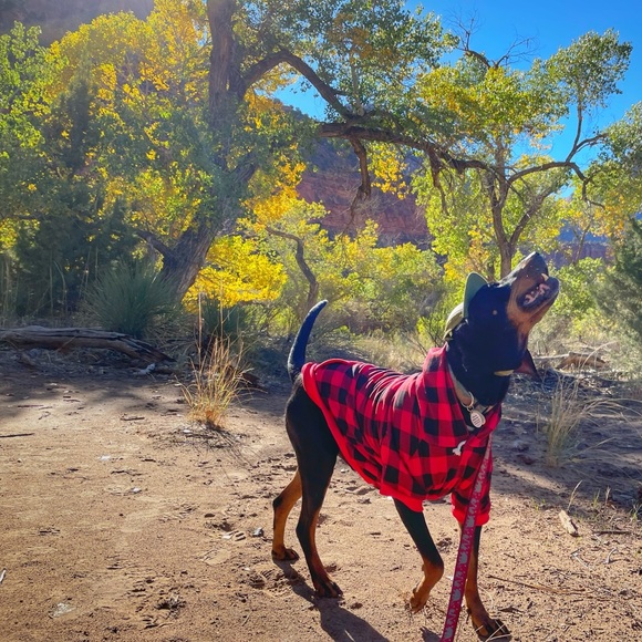 Meet your posher, Andi (and Woody)! - Picture 15 of 16